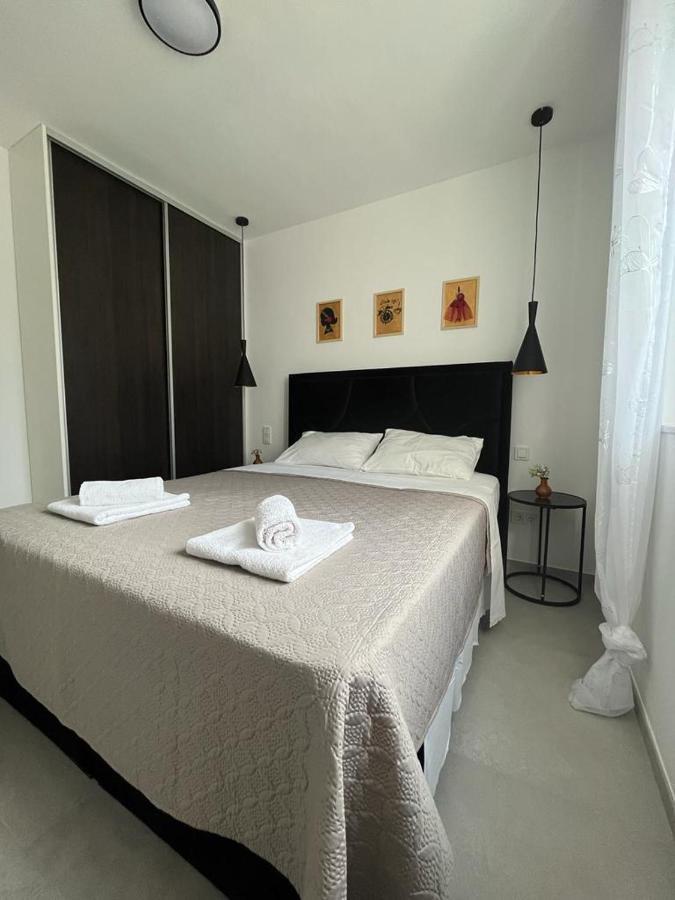 Apartament Haus Dalmatia With Heated Pool Bibinje Zewnętrze zdjęcie
