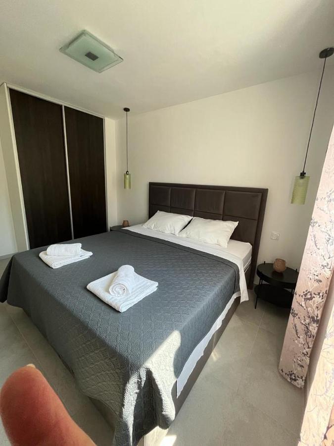 Apartament Haus Dalmatia With Heated Pool Bibinje Zewnętrze zdjęcie