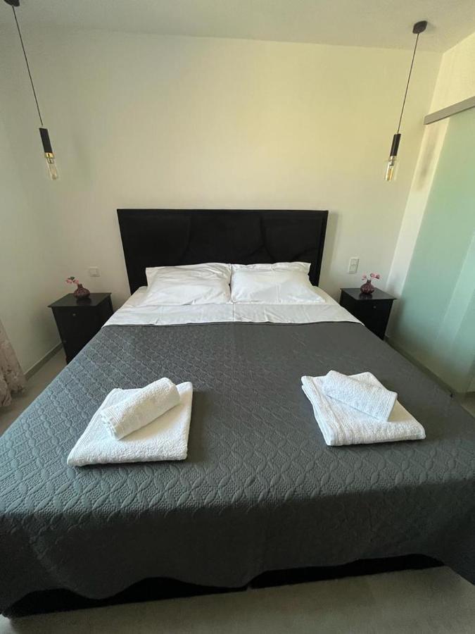 Apartament Haus Dalmatia With Heated Pool Bibinje Zewnętrze zdjęcie